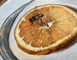 ‘Zoete Vergankelijkheid ‘