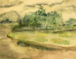 Regen in het landschap 