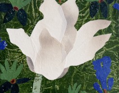 A White Tulip From a Distant Place 