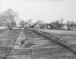 De lijnen van het landschap.