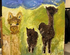 De Alpaca’s 