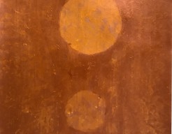 Bezielde aarde - Oogst