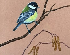 Koolmeesje op berkentak