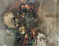 Veluwe walk in nature