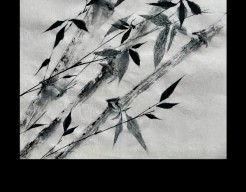 Bamboo in Sumi-e met gebruik van witte houtskool. 