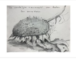 De wonderlijke kiemkracht van zaden