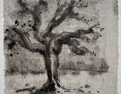 Ontsproten boom in zwarte inkt op rijstpapier 