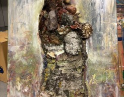 Wandeling op de Veluwe