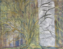 Geborgenheid in de ruimte 