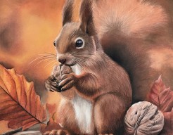 Eekhoorn in de herfst