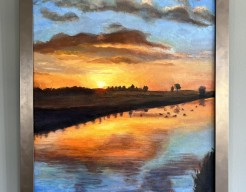 Amsterdamse waterleiding duinen