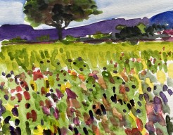 Voorjaar in de bergen