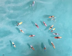 Board Meeting (M.H.)