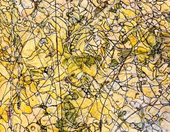 Summer in the meadow