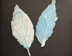 Blaadjes van glas in lijst IV