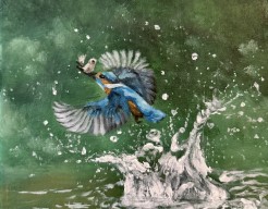 Water bij de vis? (M.H)