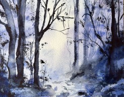 Path of light - A walk in the wood