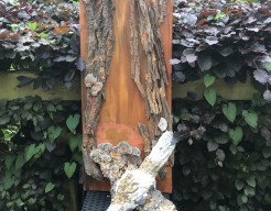 Mijn vogel vlucht naar mijn licht 