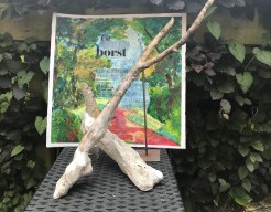 Met voetsporen aarden in het bos 