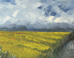 Campos de bolbos holandes