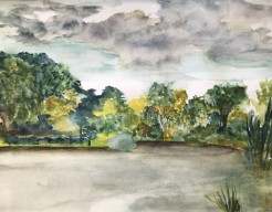 Uitzicht overkant mijn zwemroute Gaasperplas 