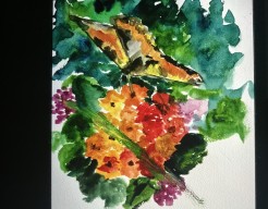 Vlinder in mijn heemtuin 