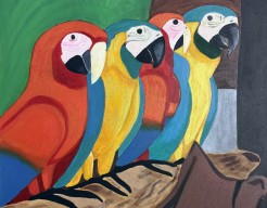 Parrots In Line