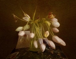 Tulips III
