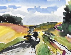 Pas geoogst, de stoppels restten