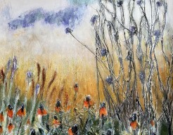 Tuinen a la Piet oudolf 