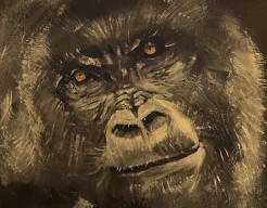 Gorilla 