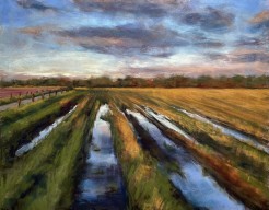 Landschap in Rijpelberg