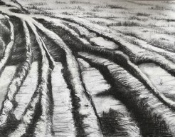 Houtskool xl 6 Tractorsporen in de klei 