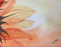 Loving the Sun (flower)