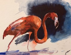De oranje flamingo