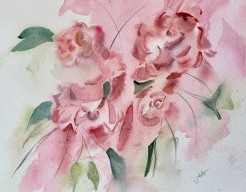 Roses are not always red