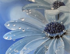 “Dew drops” (M.H) 