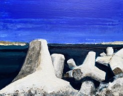 Port de novelle 2024 