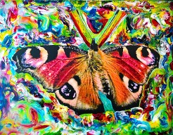 "Butterfly in Hypnose"