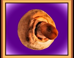 "Surrealistische Paddenstoeldroom"