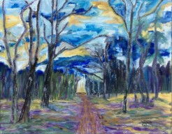 Impressie Drouwenerzand (14)