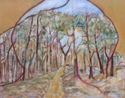 Impressie Drouwenerzand (16)