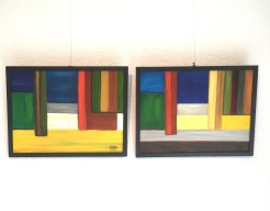 Impressie Drouwenerzand (4) 