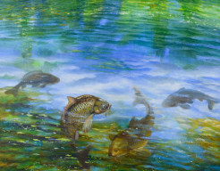 Karpers en wolken in het water