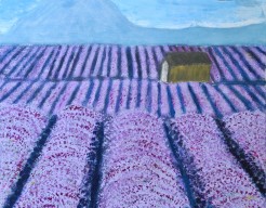 Lavender fields forever