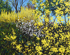 Lente in Velsen-Zuid