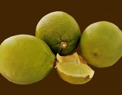 Mededogen en Afscheid