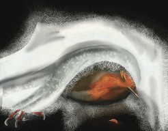 "Je bent er nog maar ook weer niet" VORM