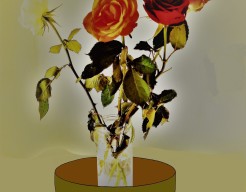 Als de mist verdwenen is