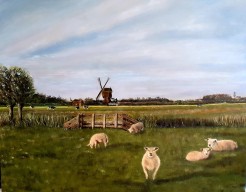 Landschap met schapen in Molenaarsgraaf